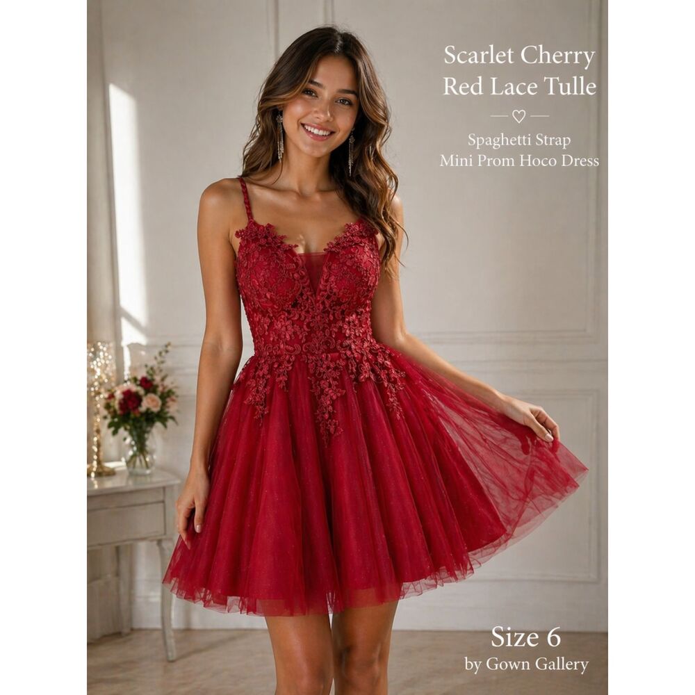 Scarlet Cherry Red Lace Tulle Mini Dress Size 6 | Gown Gallery Prom Hoco Party